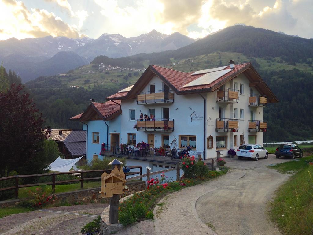 Baita Scaia Bed and Breakfast Cogolo Zewnętrze zdjęcie